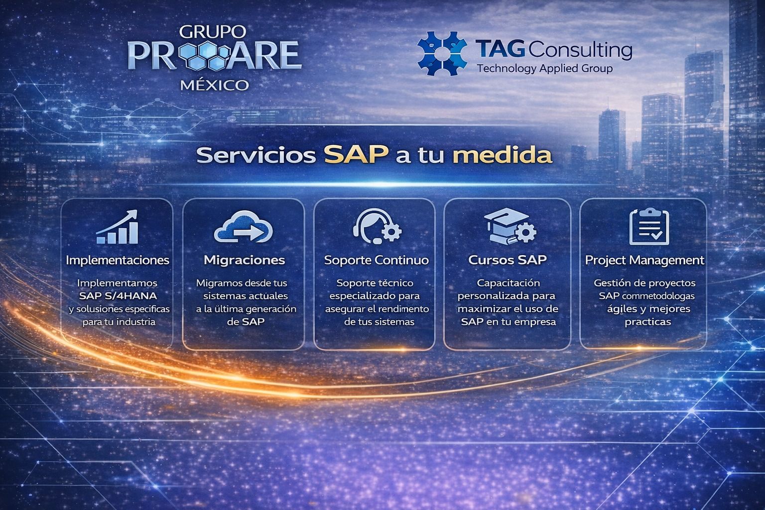 Servicios SAP Proare